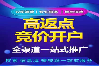 行业报告：专业SEM托管的成功实践与挑战